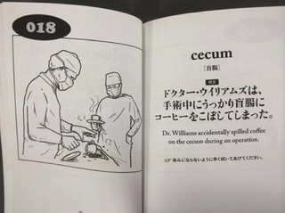Illustration for article titled Hope You Haven't Had Enough of Japan's Oddest English Book